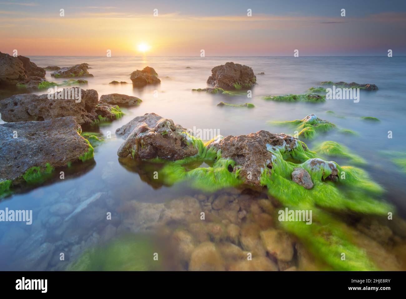 Wunderschöne Meereslandschaft. Zusammensetzung der Natur. Sonnenuntergang Natur Komposition. Nebel auf Wasser und Algen auf Steinen. Stockfoto