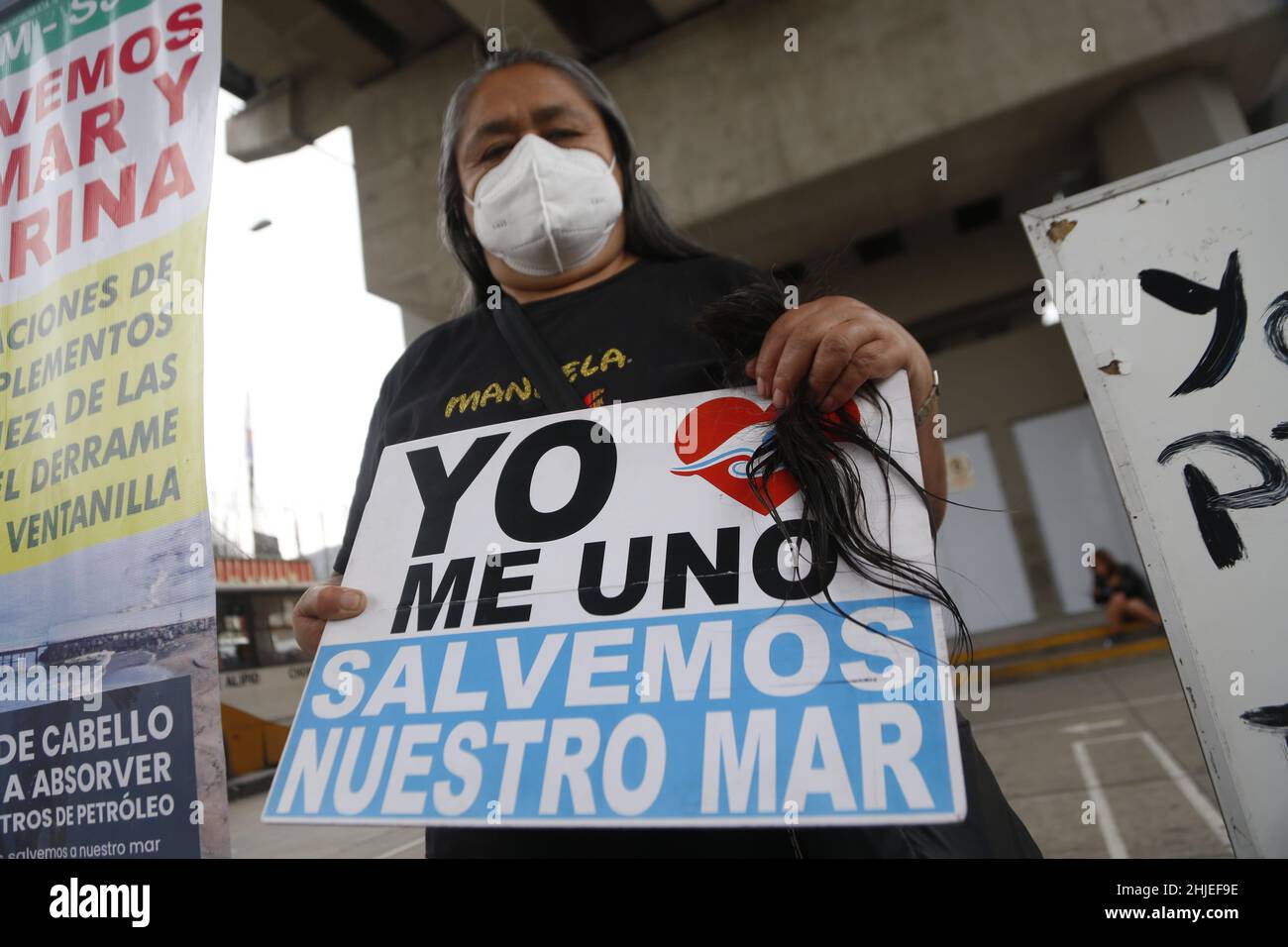 Lima, Peru. 28th Januar 2022. Eine Frau hält während einer Haarspende-Kampagne geschnittene Haare und ein Schild „Ich bin dabei“. Lasst uns unser Meer retten“. Nach der Ölpest an den Stränden von Ventanilla ist eine Kampagne im Gange, um menschliche und tierische Haare zu sammeln, um bei den Dekontaminationsbemühungen im Meer zu helfen. Das Haar wird verwendet, um Filter zu machen, um das Öl aufzusaugen. Beim Entladen eines Tankers in der Raffinerie La Pampilla des spanischen Energiekonzerns Repsol waren große Mengen Öl ausgetreten. Kredit: Gian Masko/dpa/Alamy Live Nachrichten Stockfoto