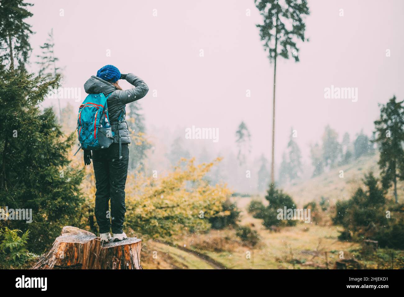 Junge Frau, Die Auf Stump In Forest Steht Und In Der Entwaldungszone In Die Ferne Schaut. Rückansicht. Der erste Schnee fällt Stockfoto