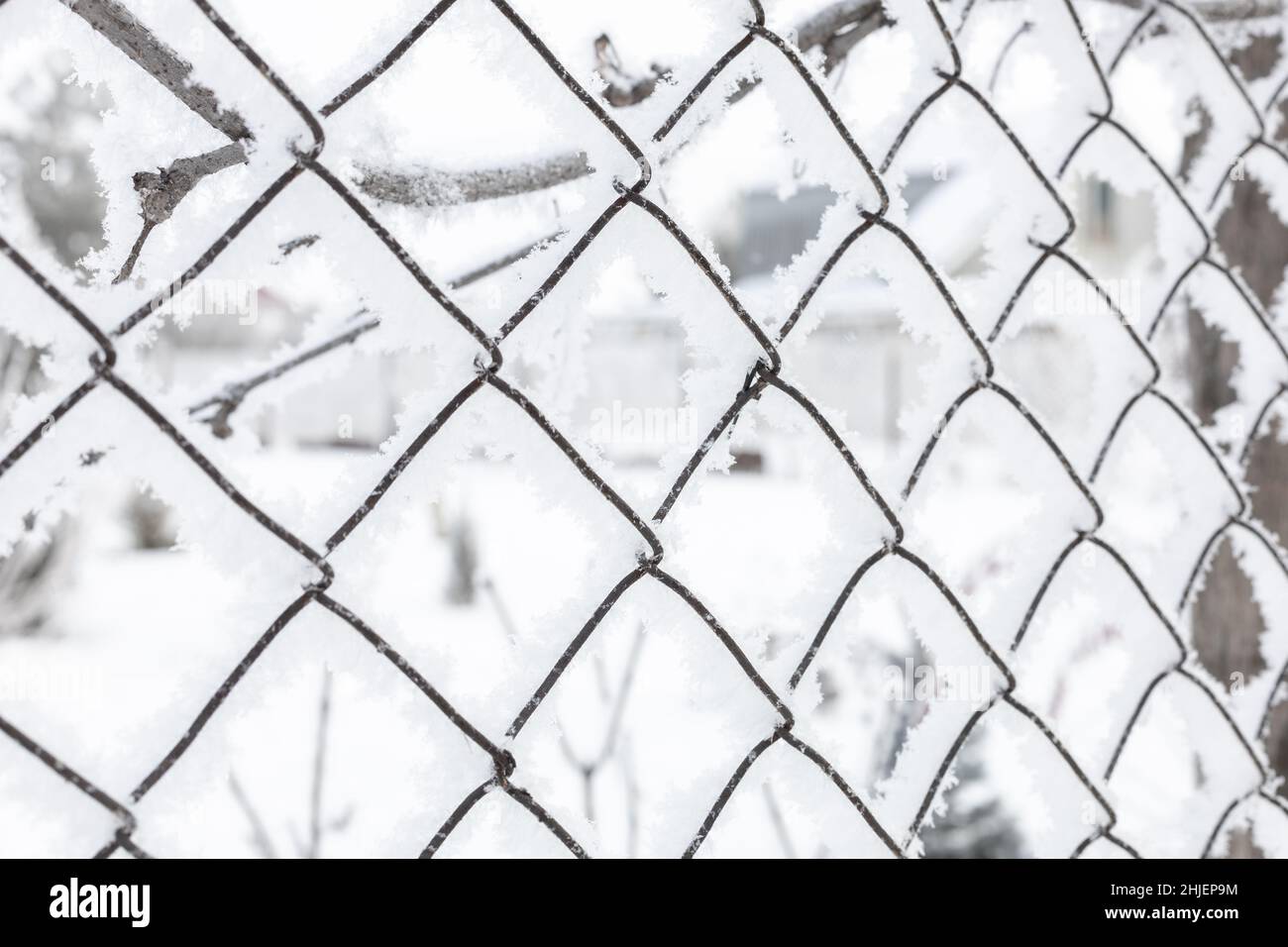 Mittlerer Teil des Stahlnetzes mit Schnee umkreist einen begrenzten Bereich mit Ästen im Hintergrund. Proteste mit Menschen, die zu Kundgebungen gehen. Exil nach Stockfoto