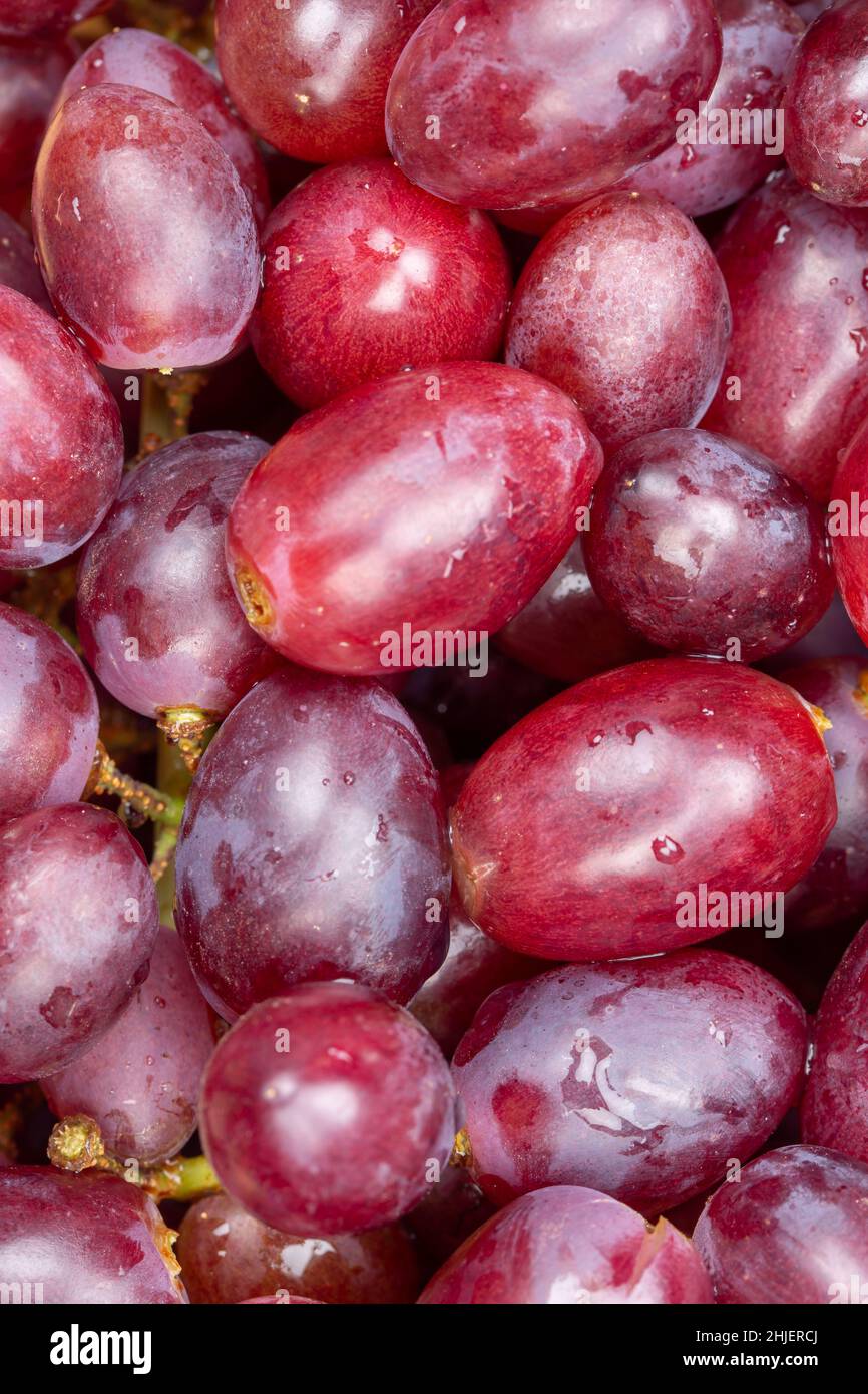 Rote Trauben Traubenfrüchte Obst Hintergrund von oben Hochformat frisch Stockfoto