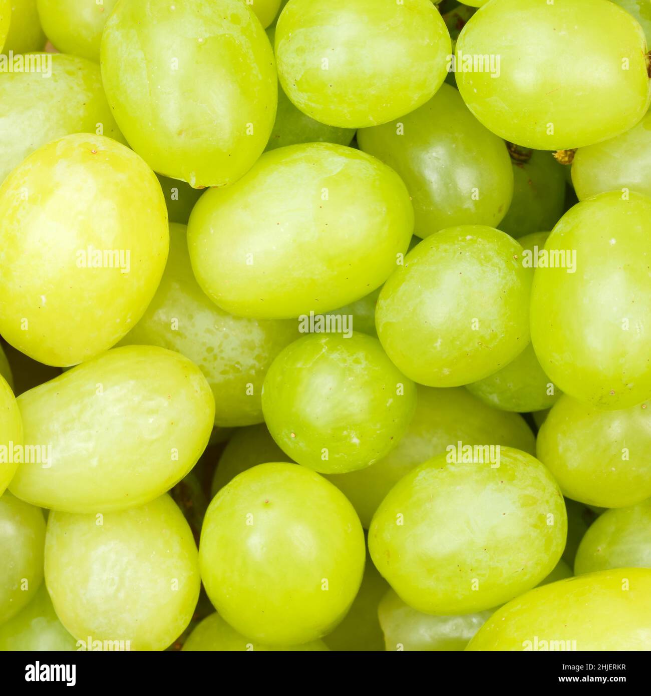 Grüne Trauben Traubenfrüchte Obst Hintergrund von oben Quadrat frisch Stockfoto