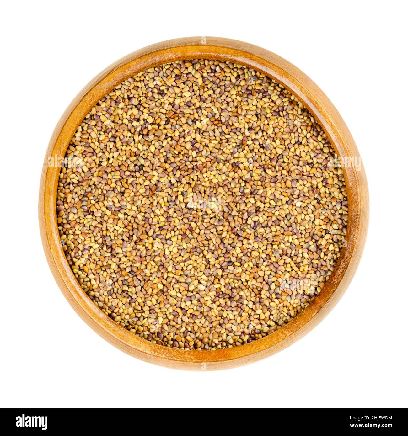 Rote Kleesamen, in einer Holzschale. Trifolium pratense, Pflanze in der Familie der Fabaceae, mit dreiblättrigen Blättern und rosa Blüten. Samen für den Anbau. Stockfoto