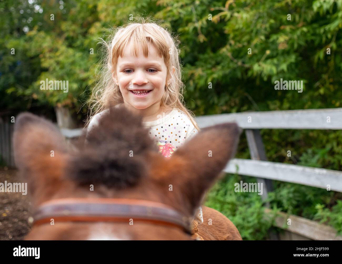 Kleines Mädchen, das auf einem kleinen Pony reitet und lacht Stockfoto