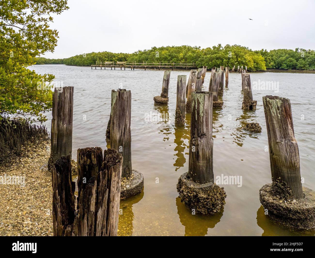 Überreste von Eisenbahnkellern am Ende des Cedar Key Railroad Trestle Nature Trail. Auf Cedar Key Florida USA Stockfoto