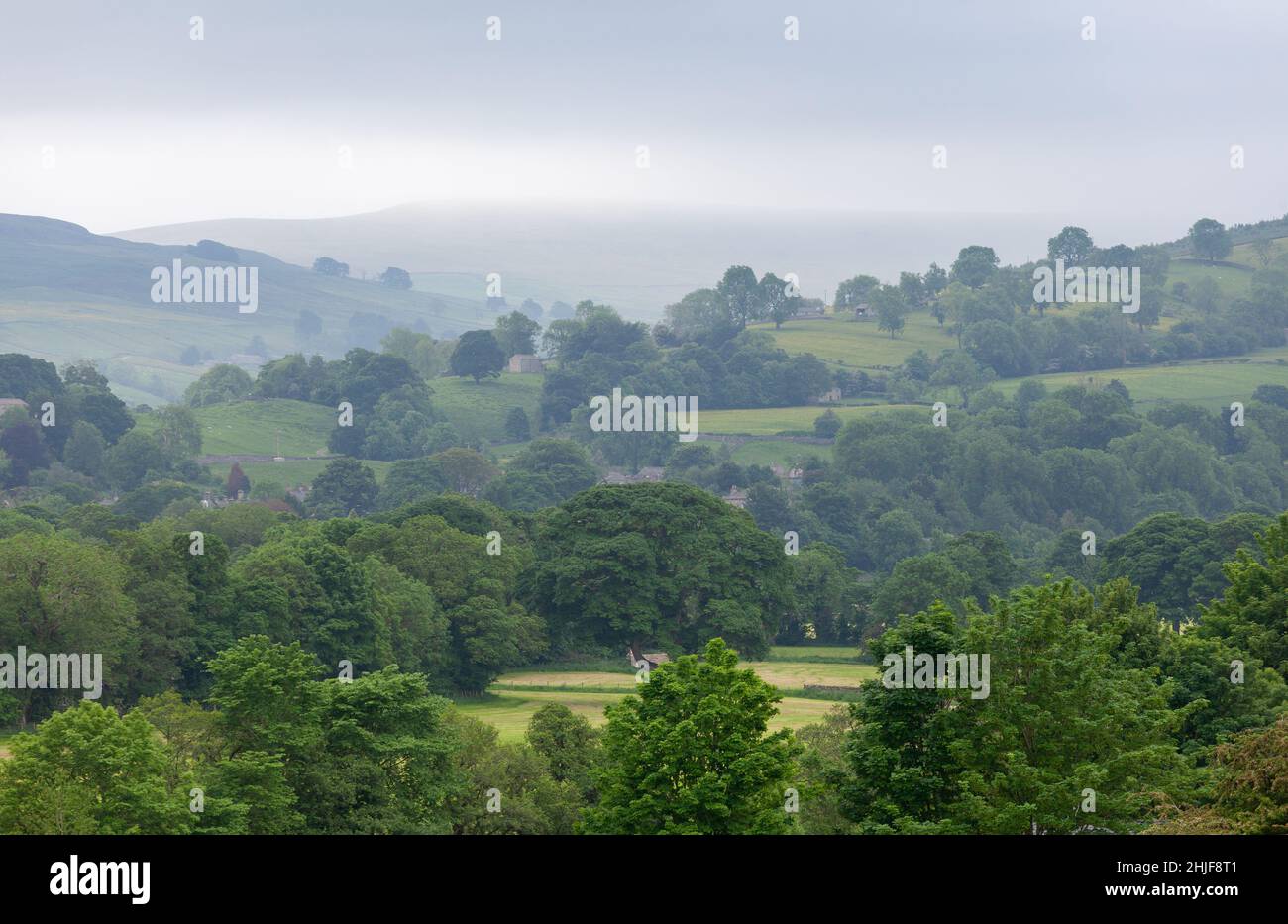 Misty Sommeransicht von Wäldern und Wiesen in Wensleydale, Yorkshire Dales Stockfoto