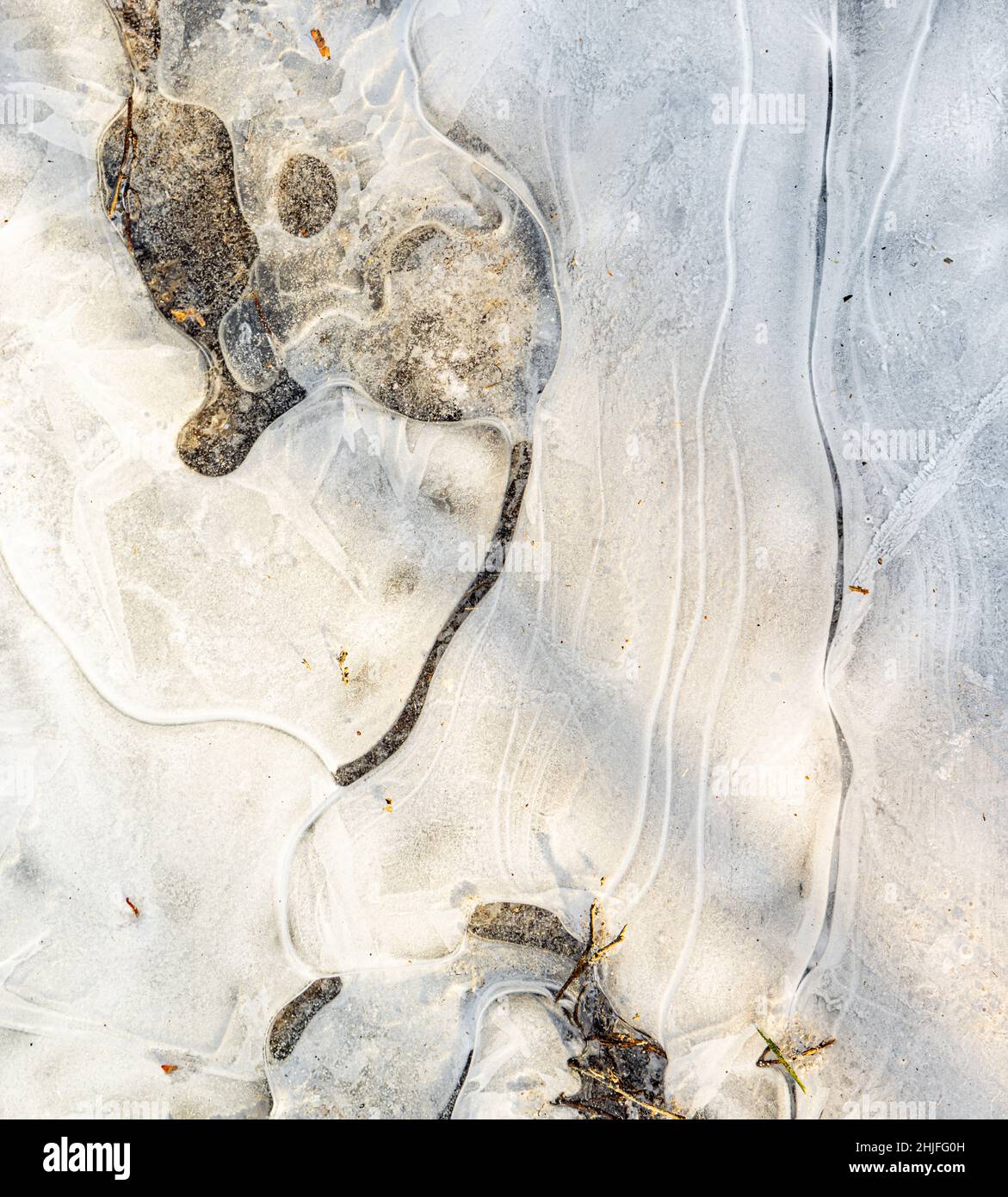 Detail einer flachen gefrorenen Pfütze Stockfoto
