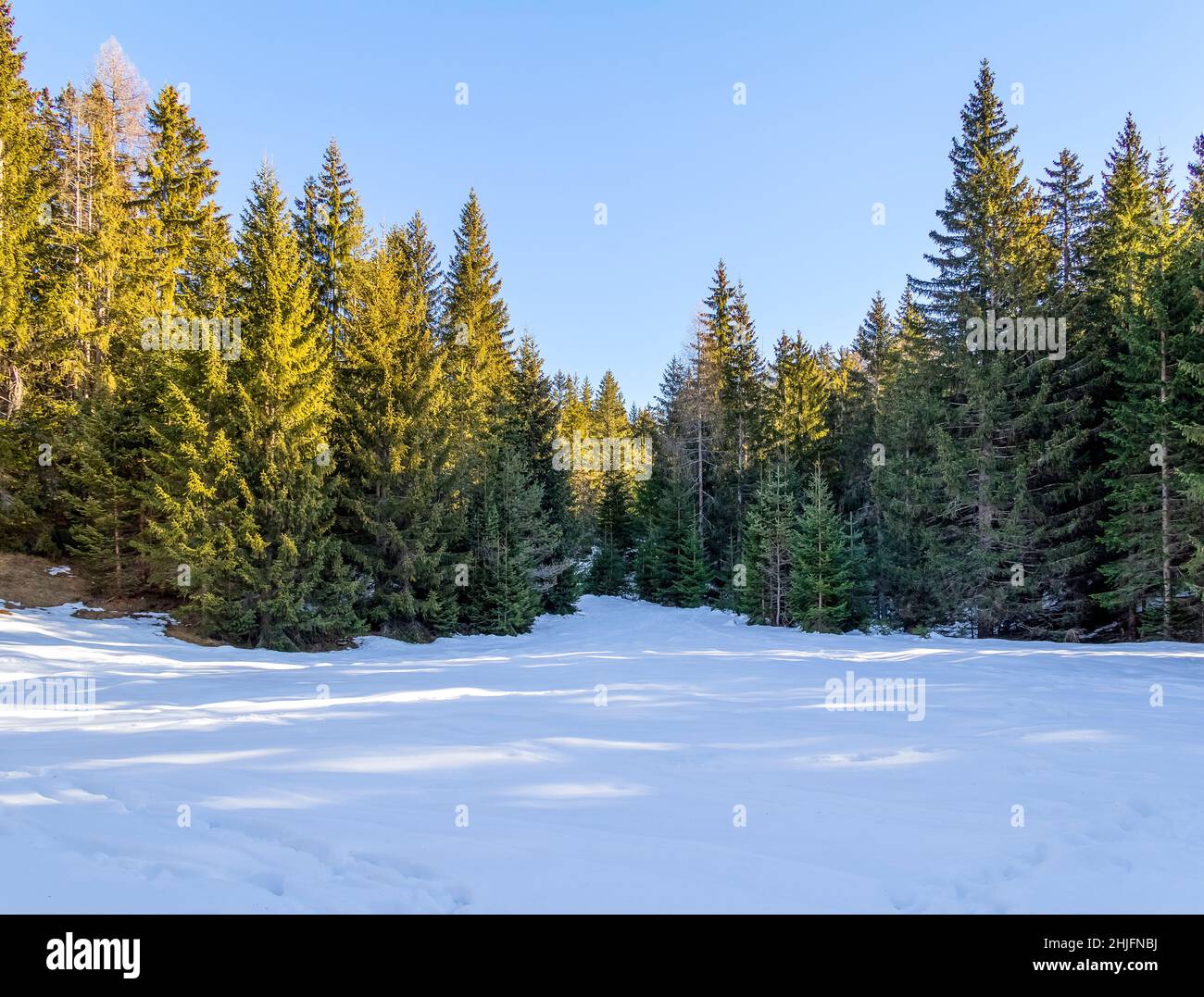 Naturkulisse rund um einen See namens Felixer Weiher in Südtirol zur Winterzeit Stockfoto