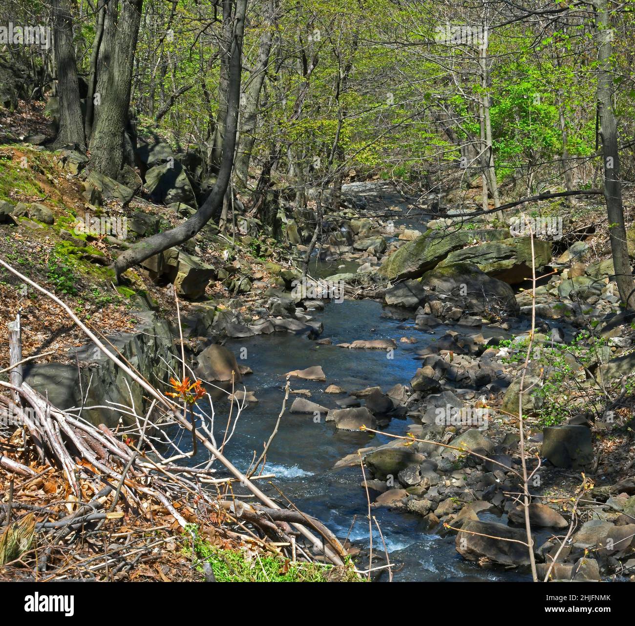 Wolf creek county park -Fotos und -Bildmaterial in hoher Auflösung – Alamy