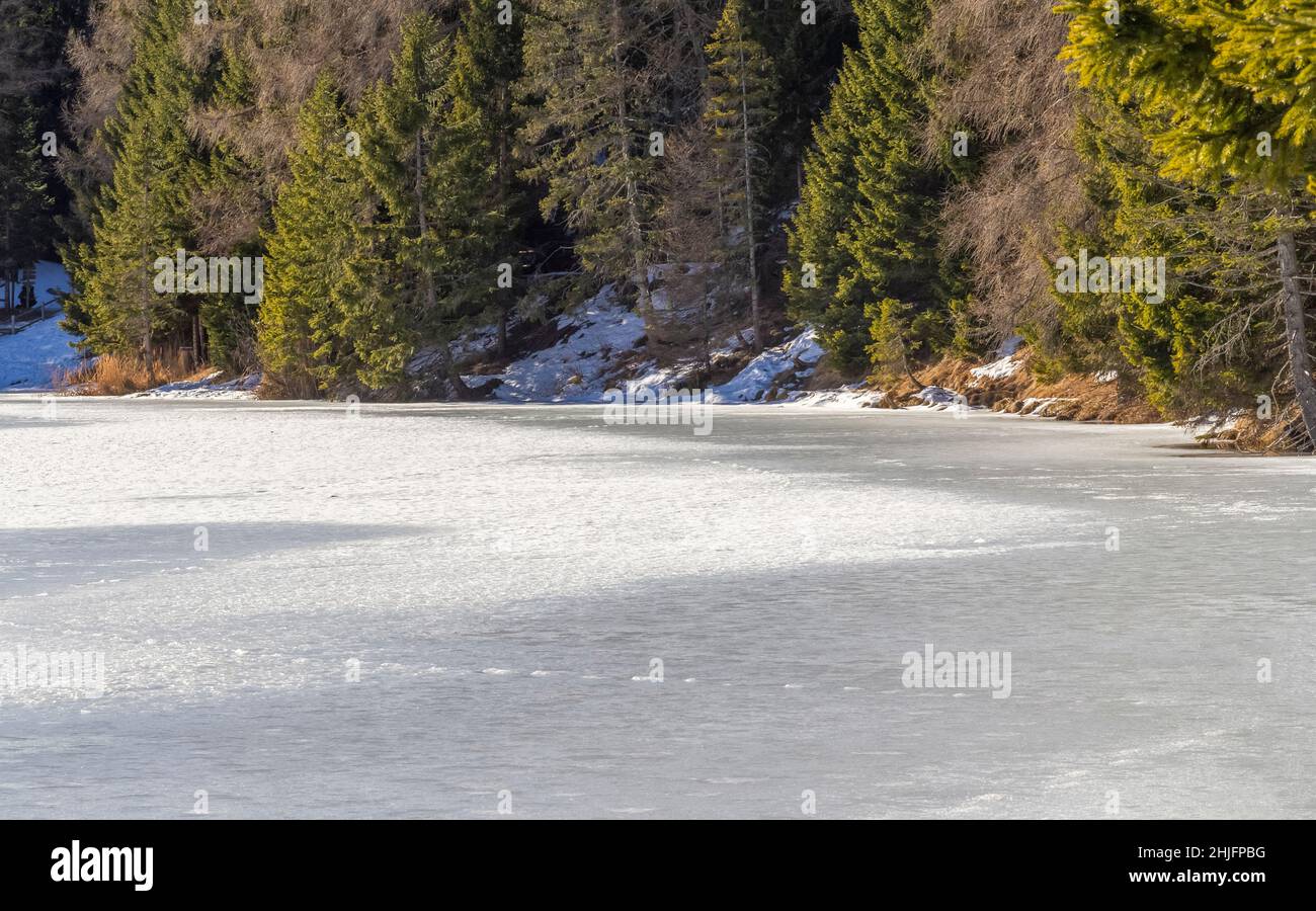 Naturkulisse rund um einen See namens Felixer Weiher in Südtirol zur Winterzeit Stockfoto