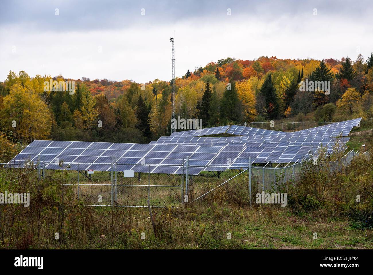Solarkraftwerk, umgeben von Bäumen auf dem Höhepunkt der Herbstfärbung an einem bewölkten Tag Stockfoto
