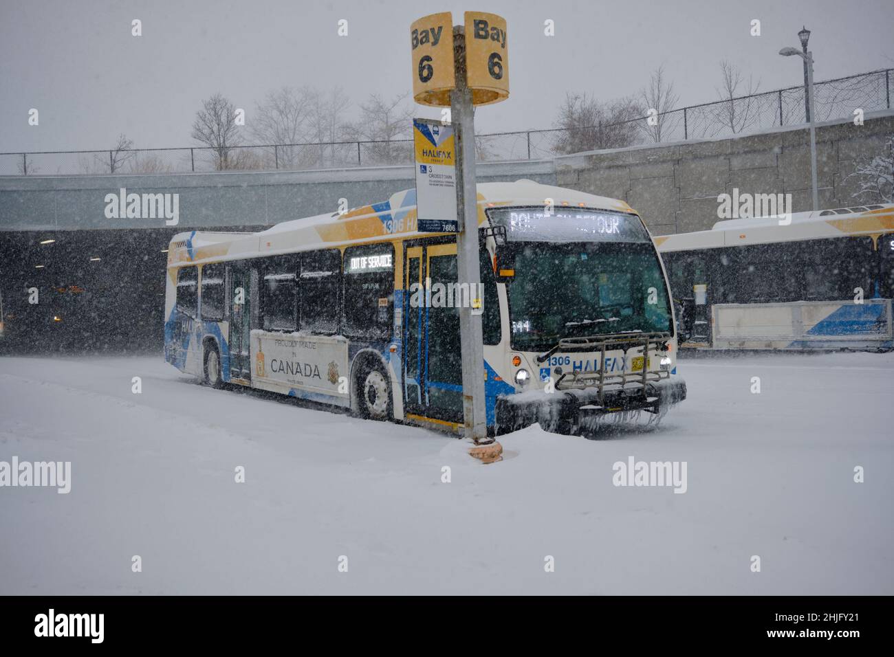 Die Halifax Transit-Busse, die am Bridge-Terminal angehalten wurden, haben alle Transitstrecken in der Stadt aufgrund der schlechten Straßenverhältnisse während des Winterschneesturms ausgesetzt Stockfoto