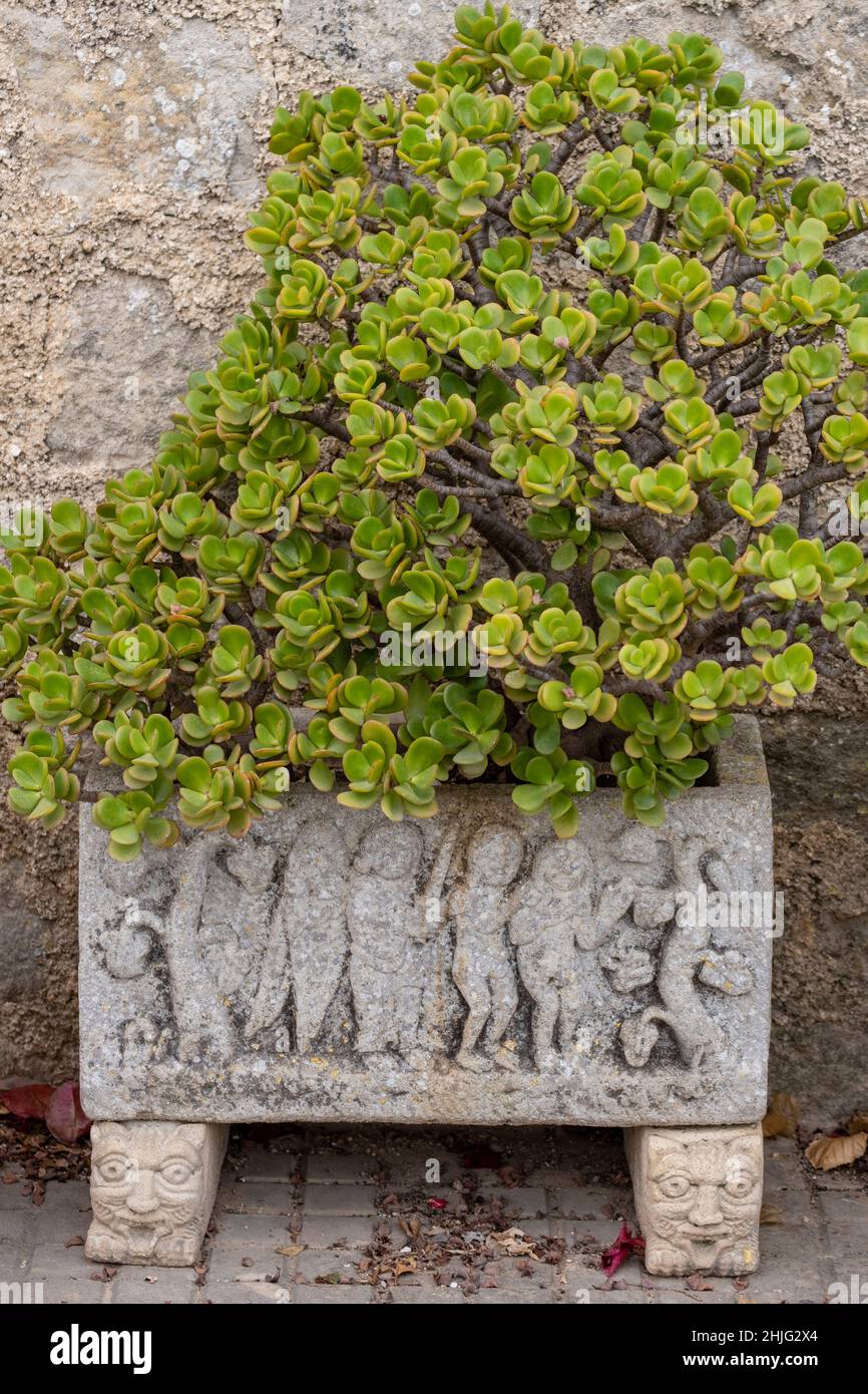 Blumentopf mit der Vertreibung aus dem Paradies von Adam und Eva, Sencelles Friedhof, Mallorca, Balearen, Spanien Stockfoto