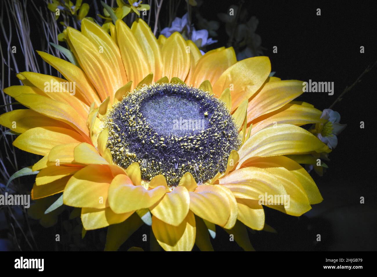 Malen mit Lichtstudie über Stillleben mit einer kleinen Stiftlampe in einer dunklen Studioumgebung Stockfoto