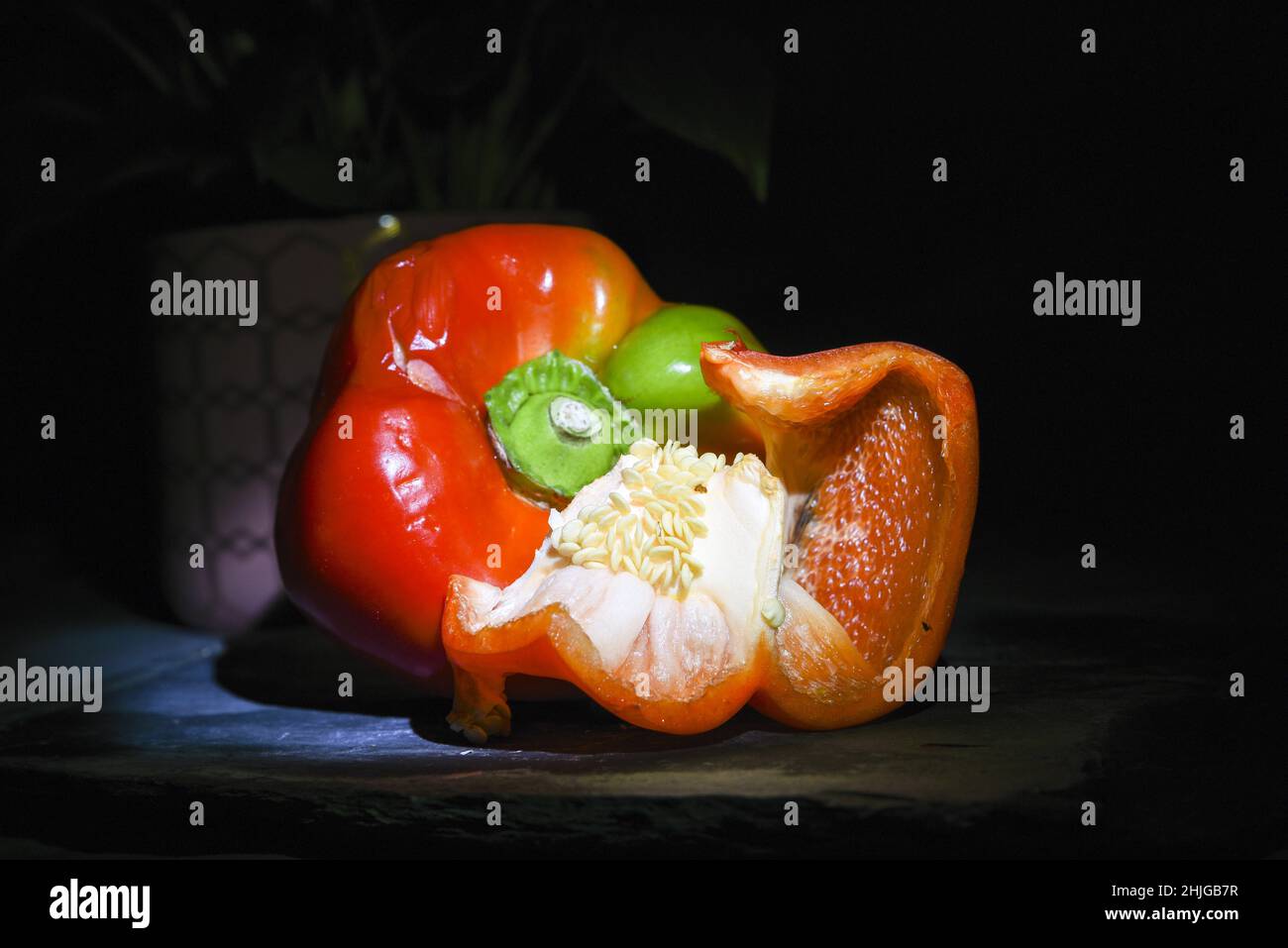 Malen mit Lichtstudie über Stillleben mit einer kleinen Stiftlampe in einer dunklen Studioumgebung Stockfoto
