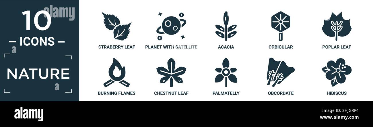 Gefülltes Natur-Icon-Set. Enthalten flaches Straberry-Blatt, Planeten mit Satellit, Akazie, Orbicular, Pappelblatt, Brennende Flammen, Kastanienblatt, palmatellig, Stock Vektor