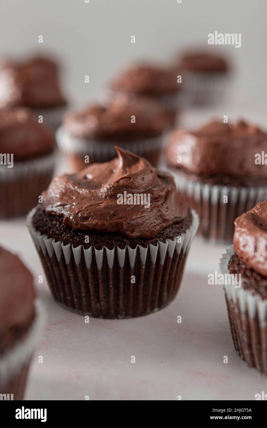 Schokoladen-Cupcakes mit Schokoladenfondant-Vereisung Stockfoto