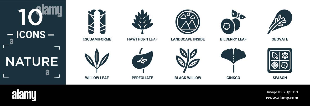 Gefüllte Natur Icon Set. Enthalten flache escuamiforme, Weißdornblatt, Landschaft im Rahmen, Heidelbeer Blatt, obovate, weidenblatt, perfoliat, schwarze Weide Stock Vektor