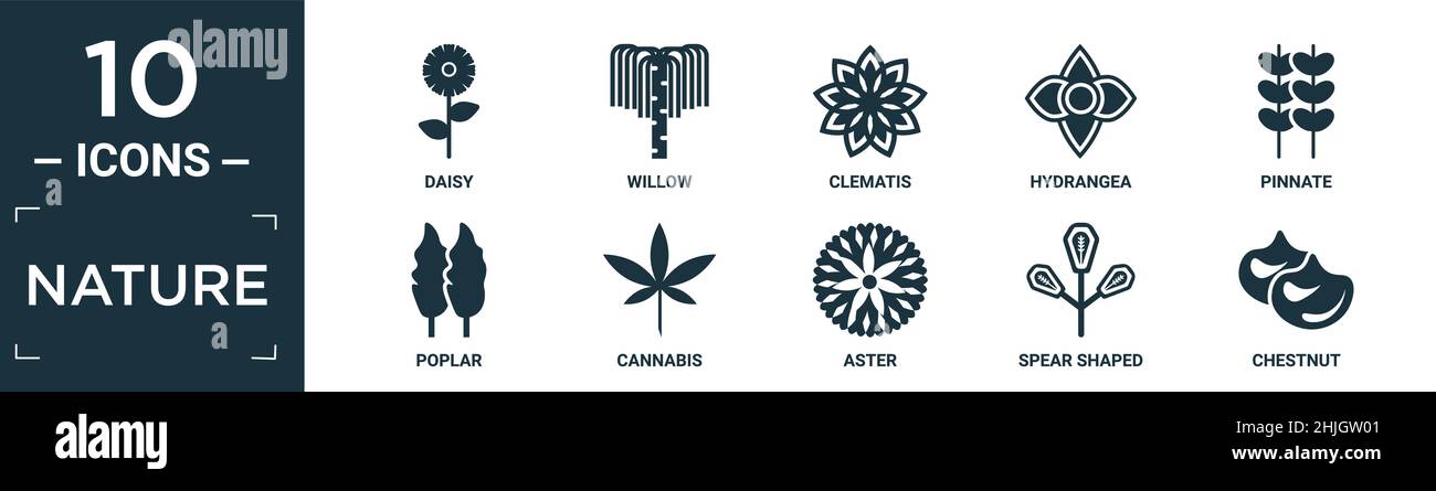 Gefülltes Natur Icon Set. Enthalten flache Gänseblümchen, Weide, Clematis, Hortensien, gefiederten, Pappel, Cannabis, Aster, Speerform, Kastaniensymbole in bearbeitbarer Form Stock Vektor