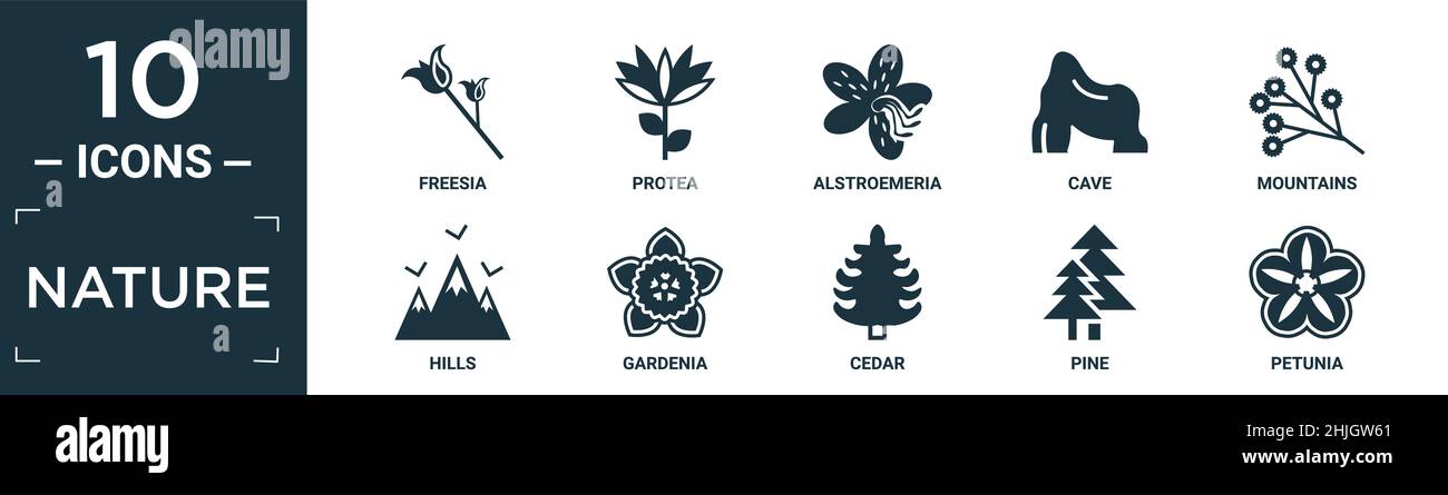 Gefüllte Natur Icon Set. Enthalten flache Freesie, protea, Alstroemeria, Höhle, Berge, Symbole für Hügel, Gardenia, Zeder, Kiefer, Petunia in bearbeitbarem Format. Stock Vektor