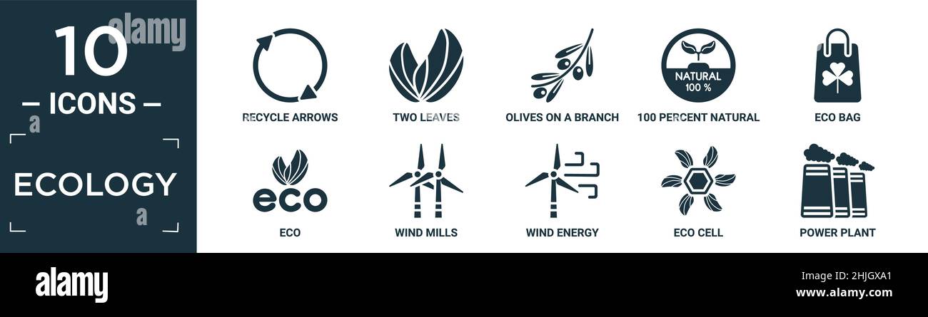 Gefüllte Ökologie Icon-Set. Enthalten flache Recycling-Pfeile, zwei Blätter, Oliven auf einem Zweig, 100 Prozent natürlich, Öko-Beutel, Öko, Windmühlen, Windenergie, Öko Stock Vektor