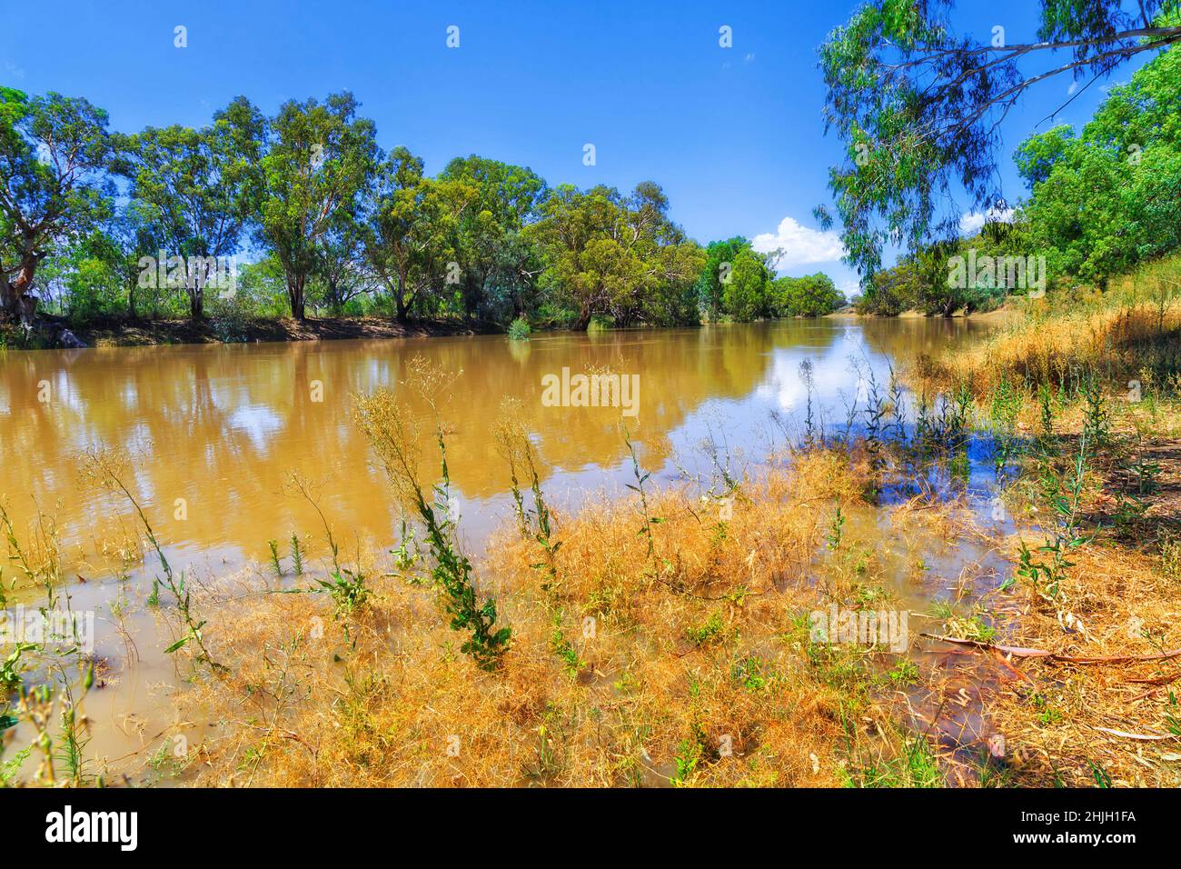 Darling River in Wilcannia, Stadt im australischen Outback - Wasserlauflandschaft vom Bäckerpark am Wasser. Stockfoto
