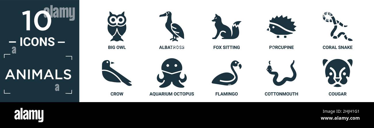 Gefüllte Tiere Icon Set. Enthalten flache große Eule, Albatros, Fuchs sitzend, Stachelschwein, Korallenschlange, Krähe, Oktopus im Aquarium, Flamingo, Cottonmouth, Cougar i Stock Vektor
