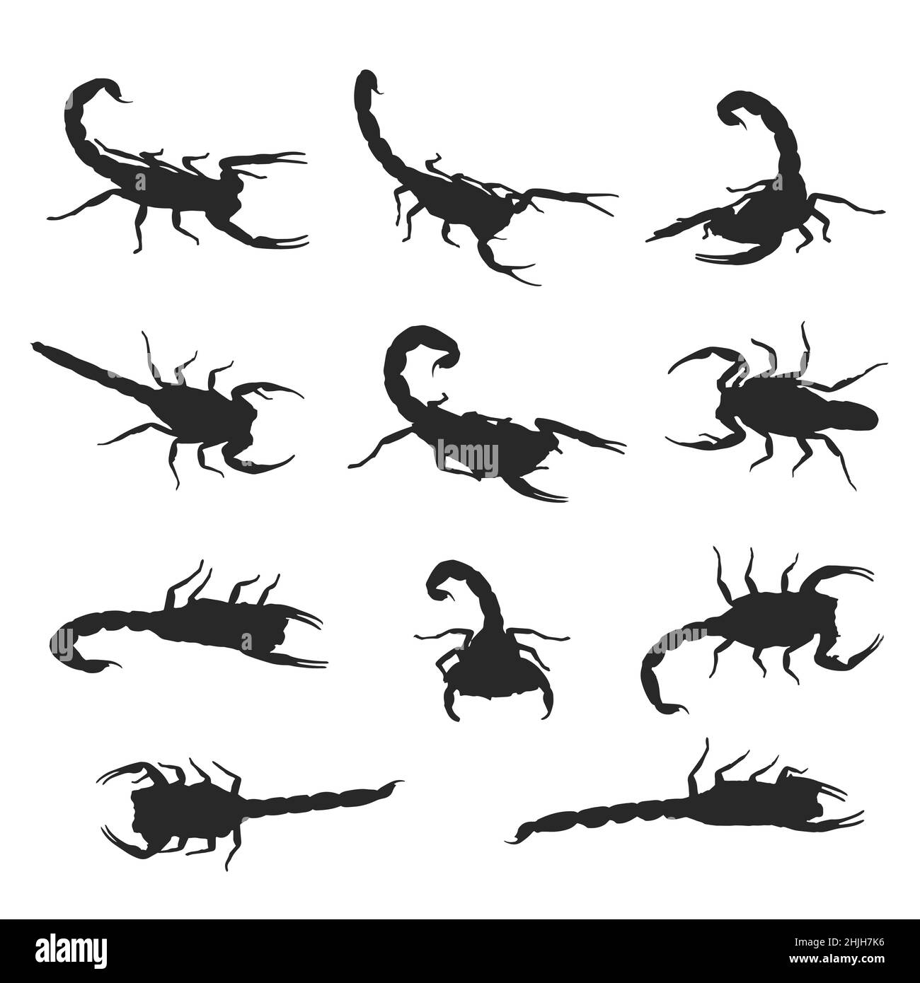 Vektor des Skorpions auf weißem Hintergrund. Leicht editierbare Vektorgrafik mit Ebenen. Stock Vektor