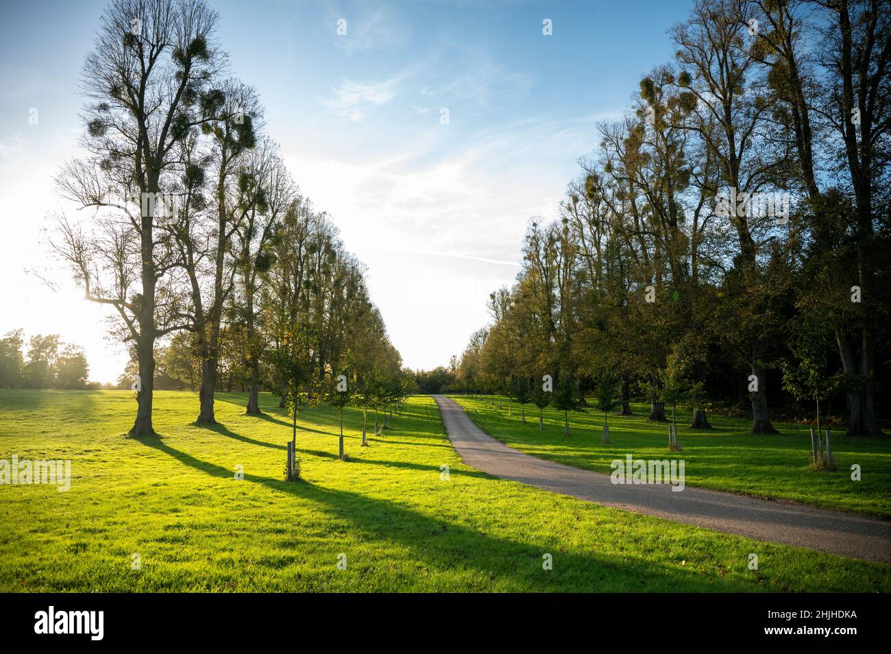 Hatfield Park vereinigtes Königreich Hatfield bei Tageslicht an einem sonnigen Tag Stockfoto