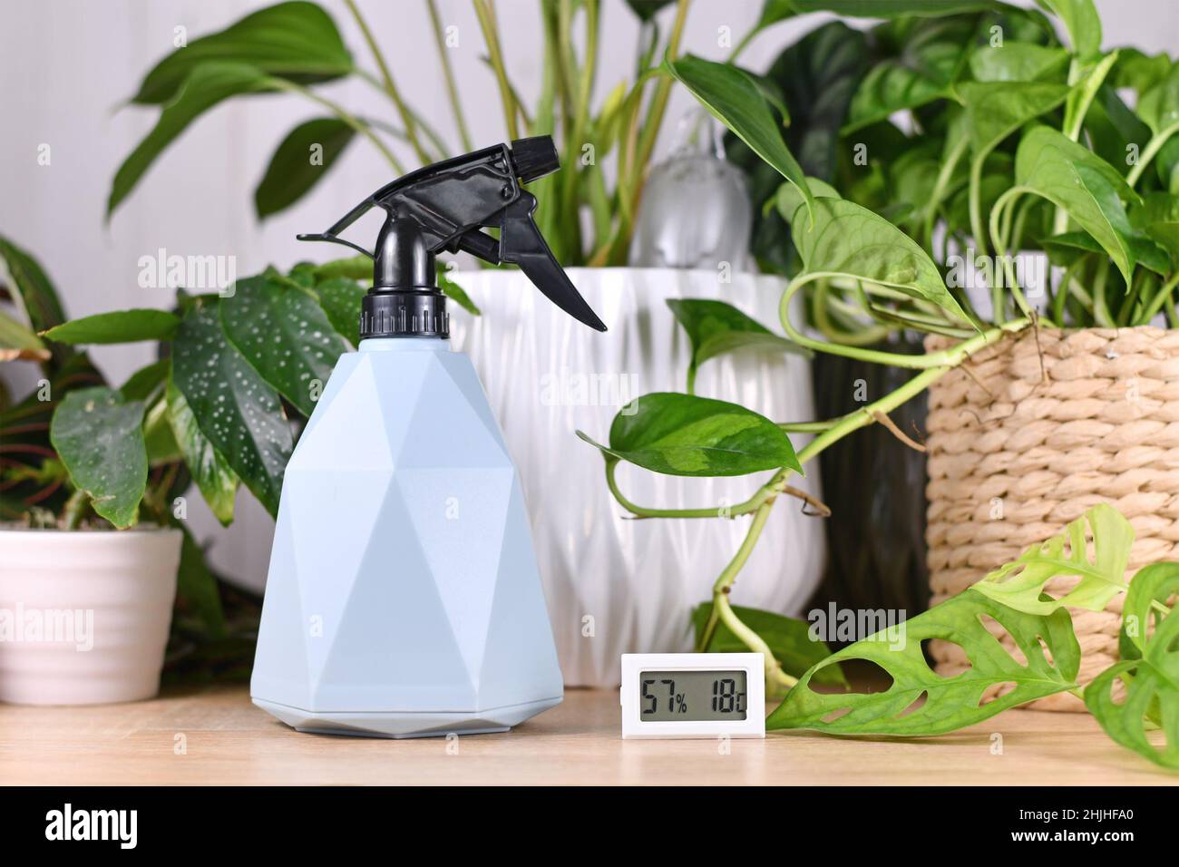 Wassersprühflasche und Hygrometer zur Aufrechterhaltung der idealen Luftfeuchtigkeit für Zimmerpflanzen Stockfoto