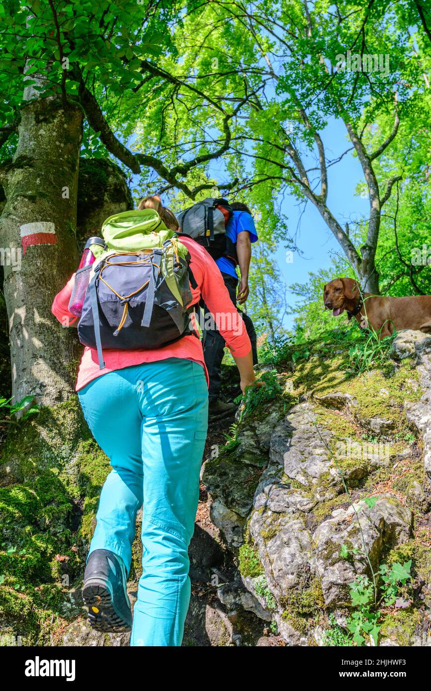 Wanderer machen eine Tour durch Wald und hügelige Natur Stockfoto