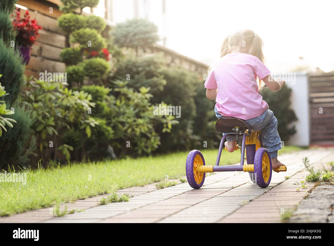 Das kleine Mädchen fährt an einem sonnigen Sommertag im Garten mit dem purpurnen Kinderfahrrad Stockfoto