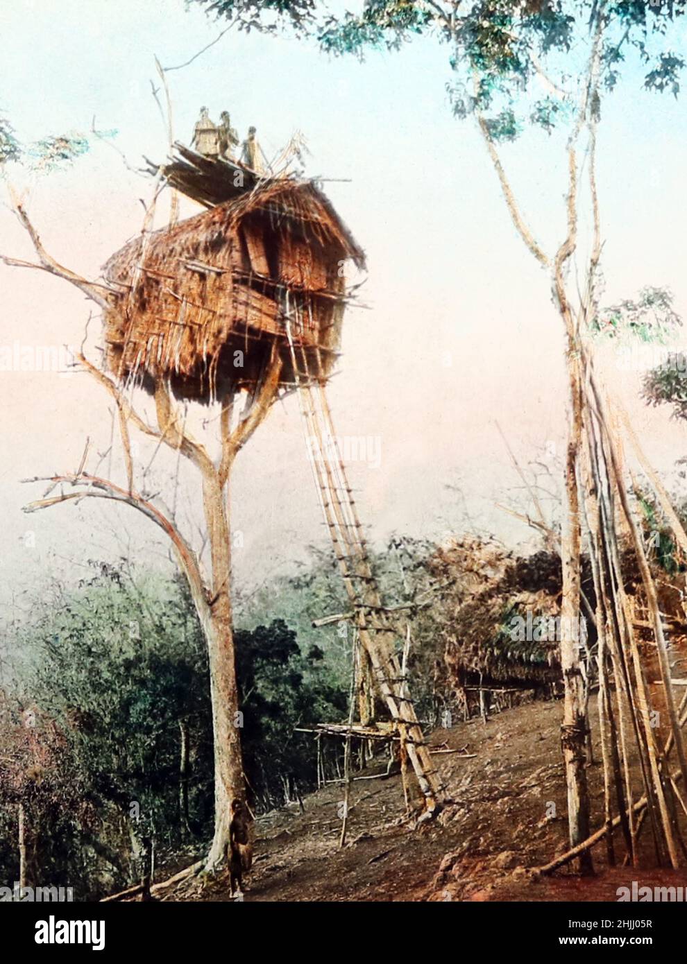 Baumhaus, Papua-Neuguinea, viktorianische Zeit Stockfoto