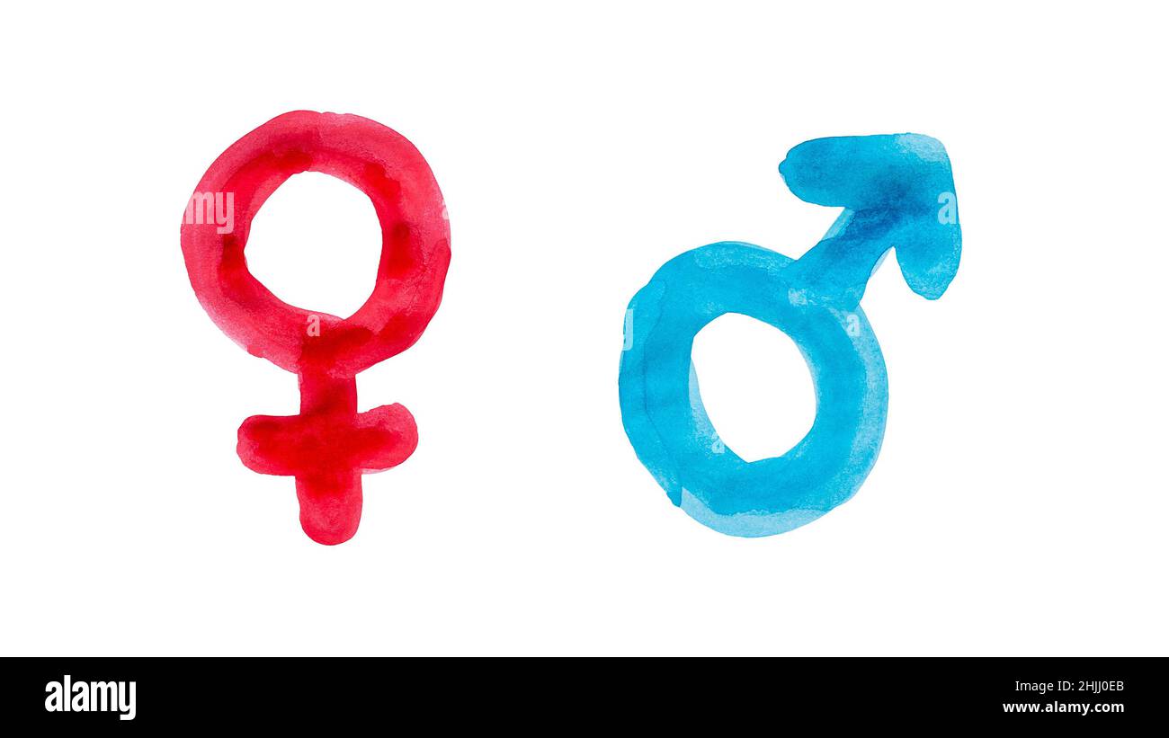 Geschlechtersymbole auf Weiß. Rote weibliche und blaue männliche Geschlechtsbezeichnungen, gemalt mit Aquarellen, isoliert auf weißem Hintergrund. 4K Auflösung. Stockfoto