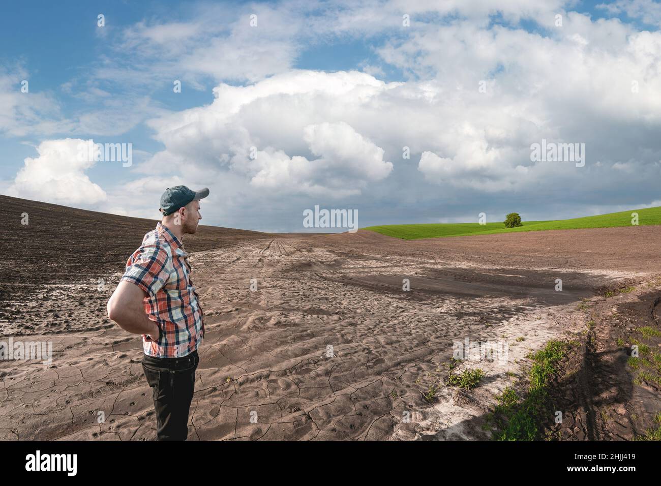 Ein männlicher Agronom untersucht die Felder nach heftigen Regenfällen vor dem Hintergrund von Regenwolken. Bewertung der Wetterschäden landwirtschaftliche Flächen nach dem Hochwasser Stockfoto