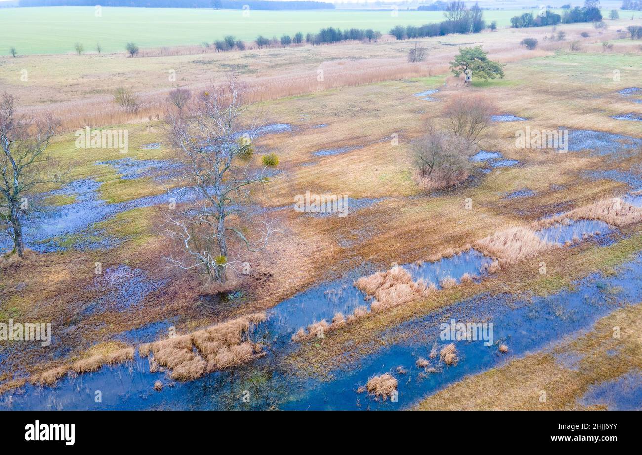 Altentreptow, Deutschland. 14th September 2017. Wiesen, Mulden und Schilfbeete bilden das rund 36 Hektar große Quellmoor des Binsenbergs. (Luftaufnahme mit einer Drohne) Wenn Torfböden im erforderlichen Umfang rebenetzt werden, sollte sich die Wasserqualität auch in der Ostsee verbessern. Torfböden fungieren tatsächlich als Nährstofffilter und tragen nicht nur zum Klima- und Artenschutz, sondern auch zur Verbesserung der Wasserqualität bei. Quelle: Jens Büttner/dpa-Zentralbild/dpa/Alamy Live News Stockfoto