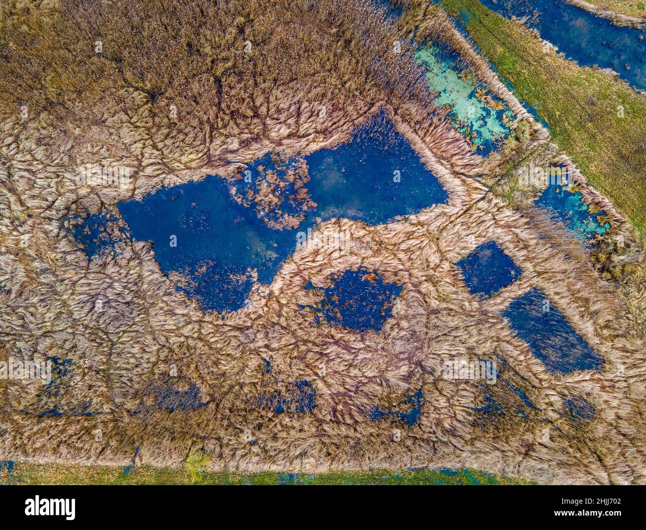 Altentreptow, Deutschland. 25th Januar 2022. Wiesen, Mulden und Schilfbeete bilden das rund 36 Hektar große Quellmoor des Binsenbergs. (Luftaufnahme mit einer Drohne) Wenn Torfböden im erforderlichen Umfang rebenetzt werden, sollte sich die Wasserqualität auch in der Ostsee verbessern. Torfböden fungieren tatsächlich als Nährstofffilter und tragen nicht nur zum Klima- und Artenschutz, sondern auch zur Verbesserung der Wasserqualität bei. Quelle: Jens Büttner/dpa-Zentralbild/dpa/Alamy Live News Stockfoto
