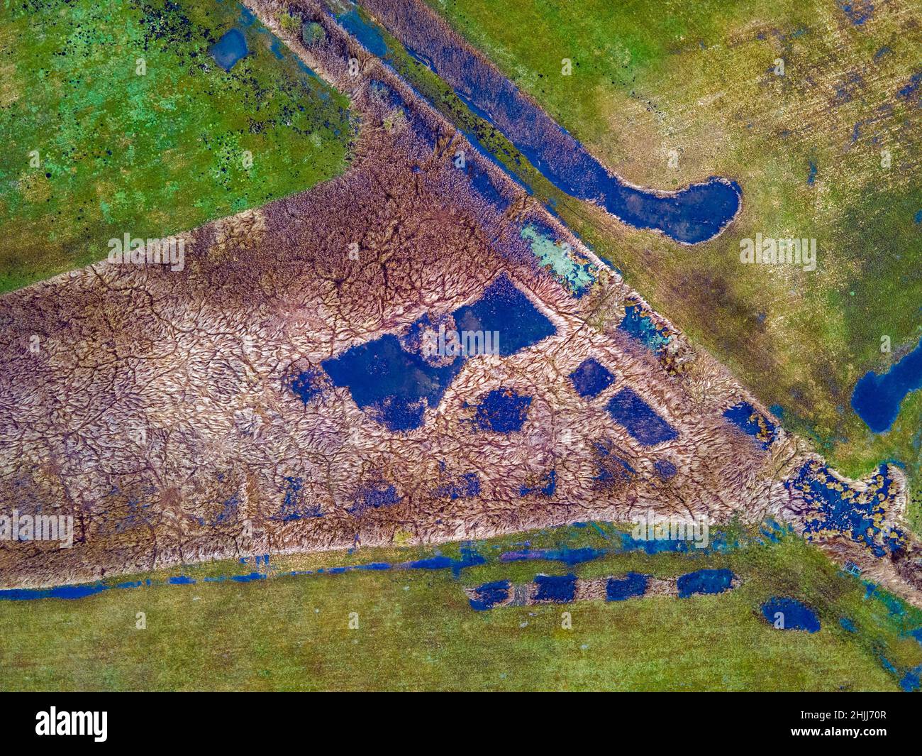 Altentreptow, Deutschland. 14th September 2017. Wiesen, Mulden und Schilfbeete bilden das rund 36 Hektar große Quellmoor des Binsenbergs. (Luftaufnahme mit einer Drohne) Wenn Torfböden im erforderlichen Umfang rebenetzt werden, sollte sich die Wasserqualität auch in der Ostsee verbessern. Torfböden fungieren tatsächlich als Nährstofffilter und tragen nicht nur zum Klima- und Artenschutz, sondern auch zur Verbesserung der Wasserqualität bei. Quelle: Jens Büttner/dpa-Zentralbild/dpa/Alamy Live News Stockfoto
