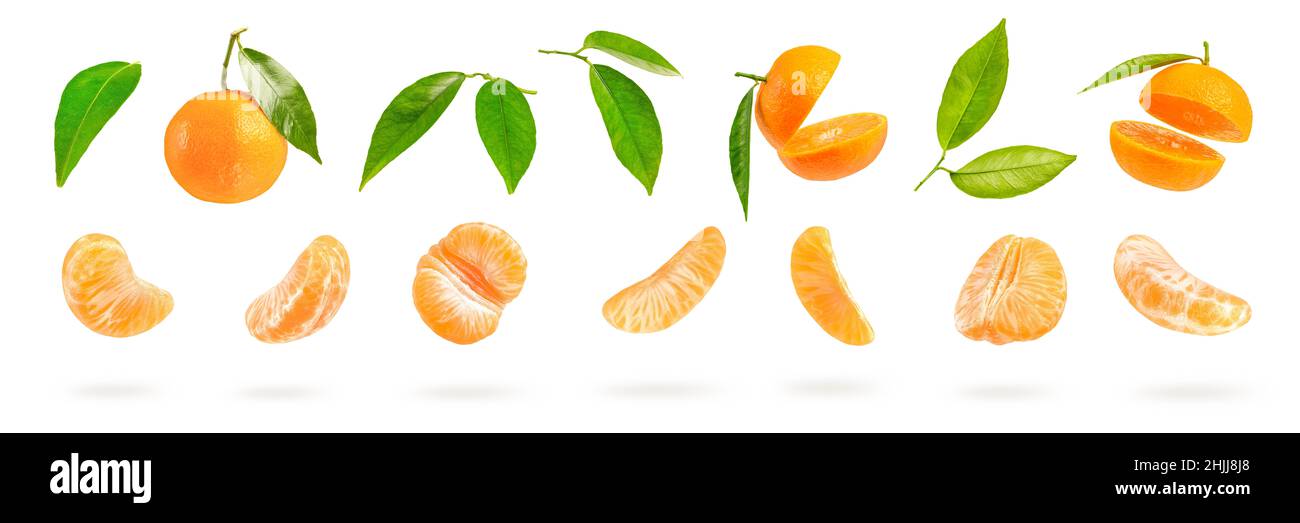 Großer Satz von tangerinen Teilen, verschiedene tangerine Segmente isoliert auf weißem Hintergrund. Blätter und Stücke von Mandarine fallen, werfen einen Schatten Stockfoto