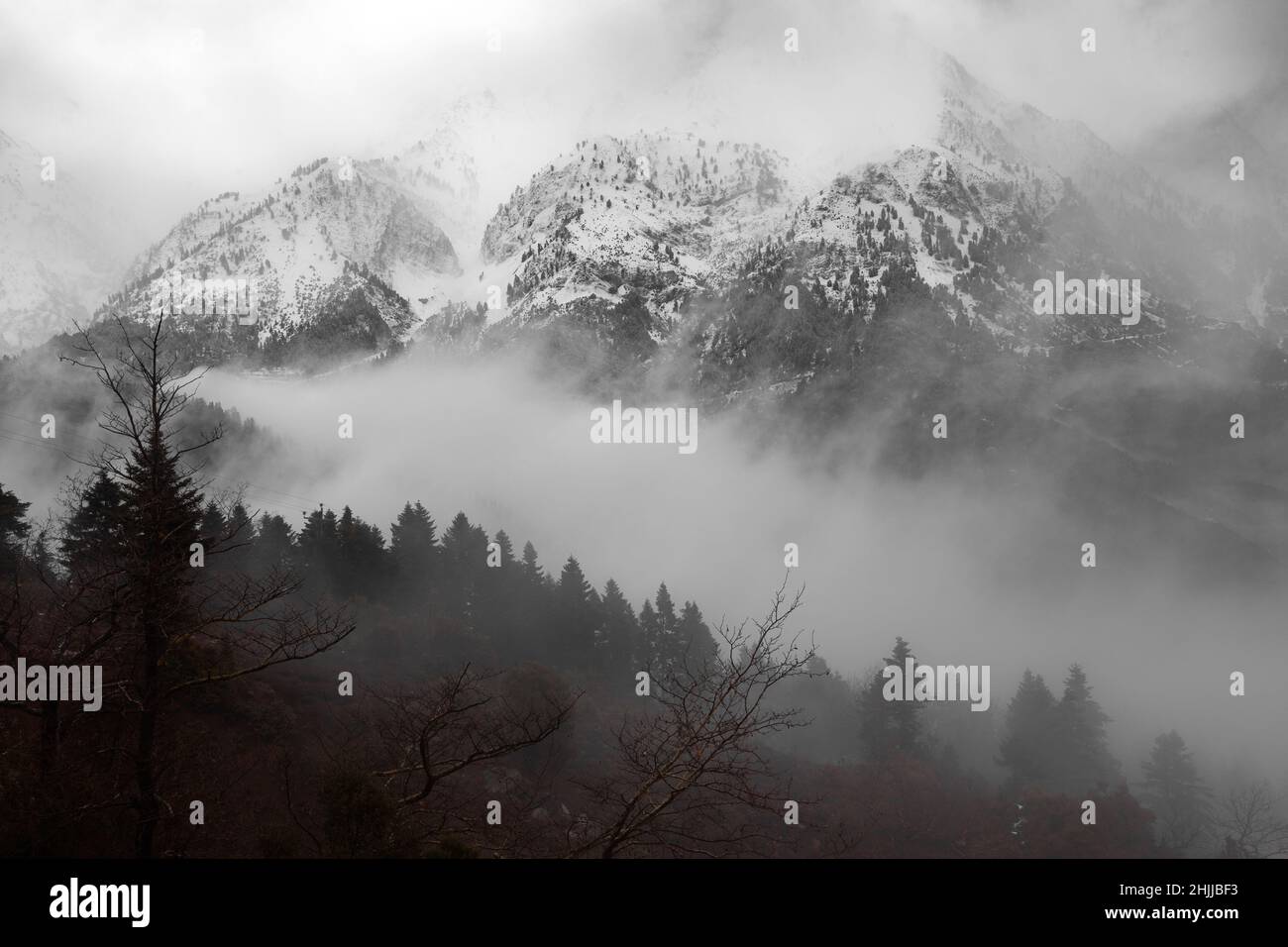 Atmosphärische Berggipfel im Winter niedrige Wolkendeckung, in der Bergregion Agrafa, in Zentralgriechenland, GRIECHENLAND, EUROPA. Stockfoto