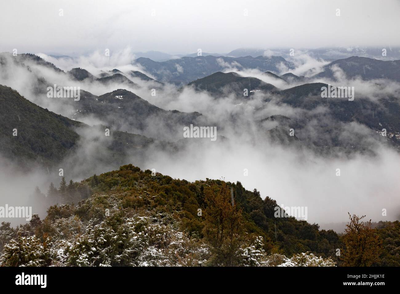 Atmosphärische Berggipfel im Winter niedrige Wolkendeckung, in der Bergregion Agrafa, in Zentralgriechenland, GRIECHENLAND, EUROPA. Stockfoto