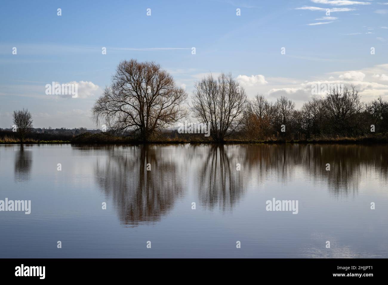 Bäume spiegeln sich im Wasser des Sees Stockfoto