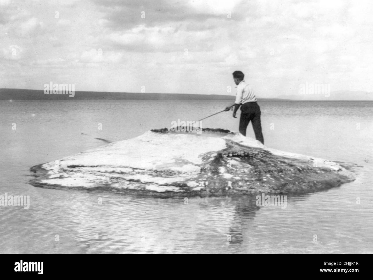 Man Fliegenfischen/Gießen in Fishing Cove, Yellowstone Lake - 1917 Stockfoto