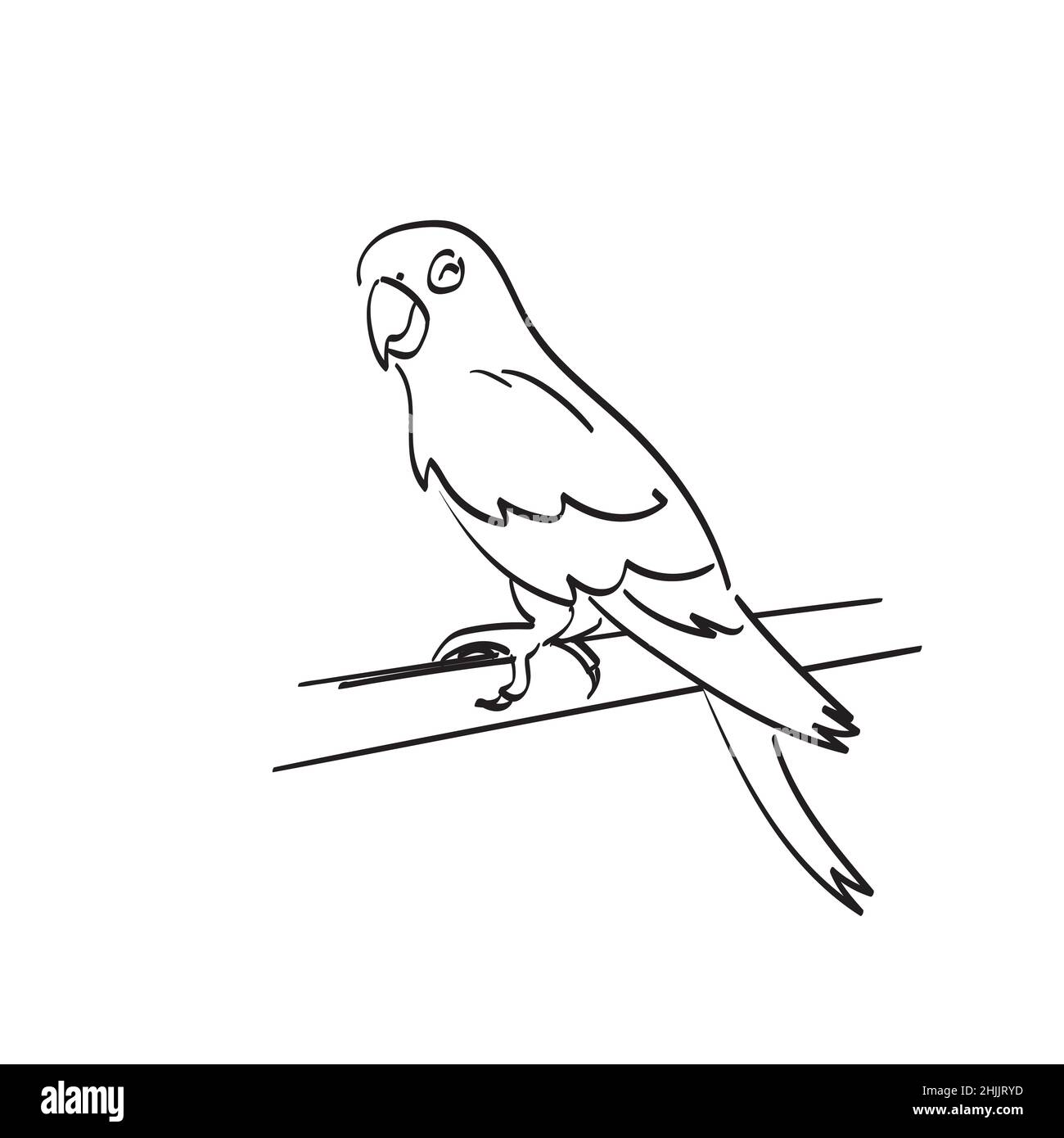 Lächelnder Papagei auf Baum Illustration Vektor Hand gezeichnet isoliert auf weißem Hintergrund Linie Kunst Stock Vektor