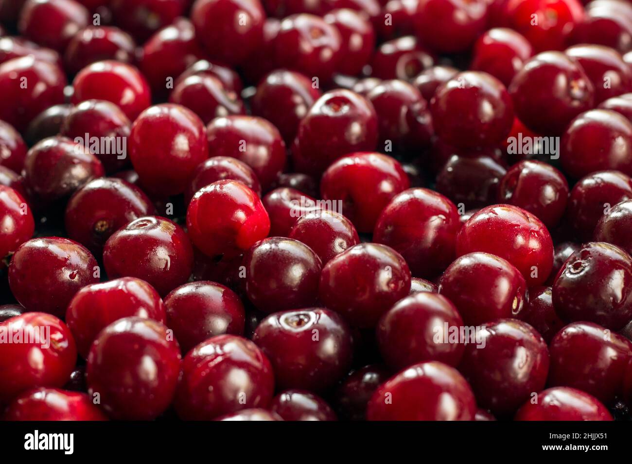 Frische Kirschfrüchte Hintergrund Stockfoto