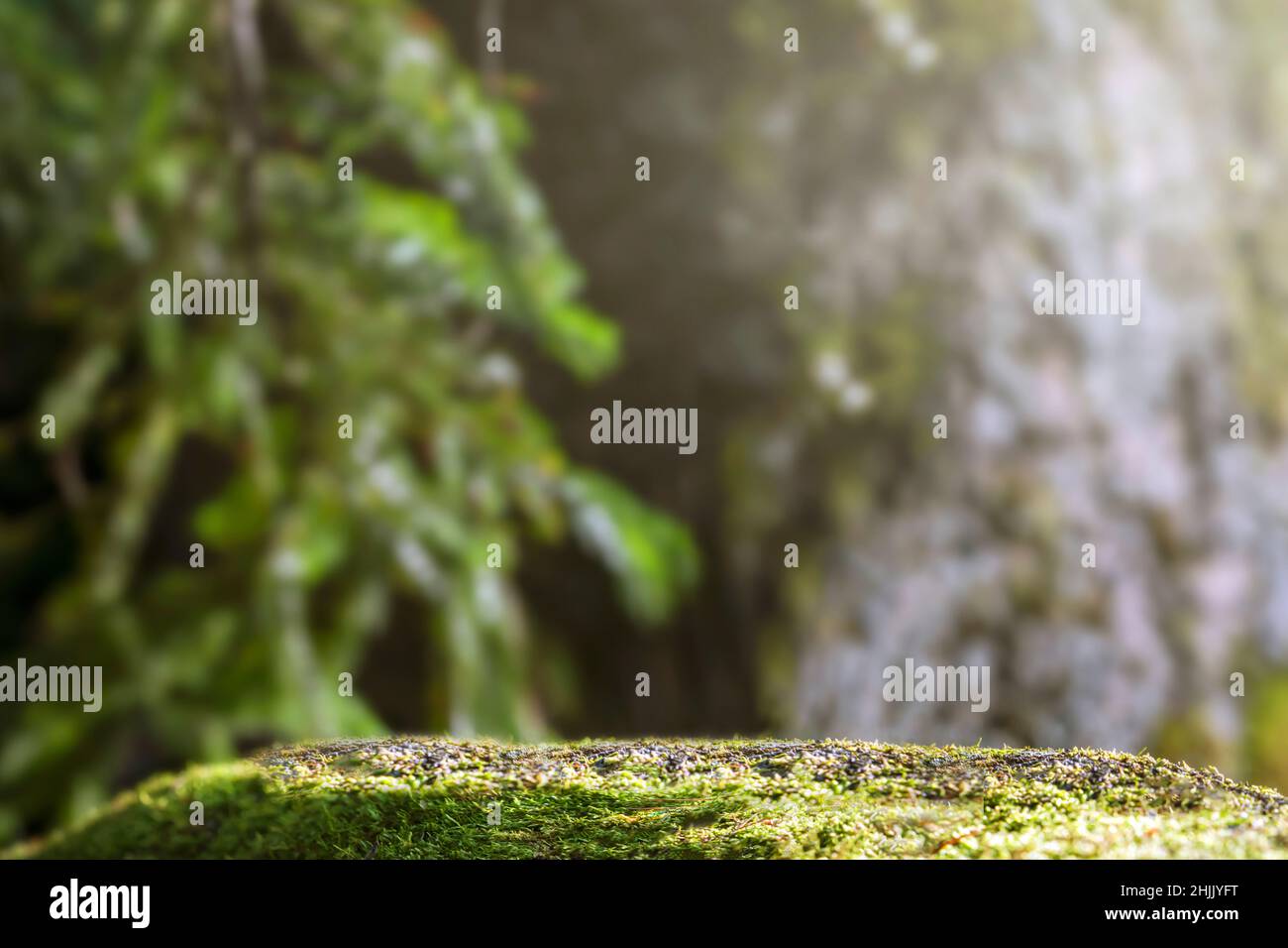 Outdoor-Mockup-Kopierplatz für umweltfreundliche Produkte im Wald. Der Sockel aus Stein und Moos ist echt grün. Geeignet für natürliche Stockfoto