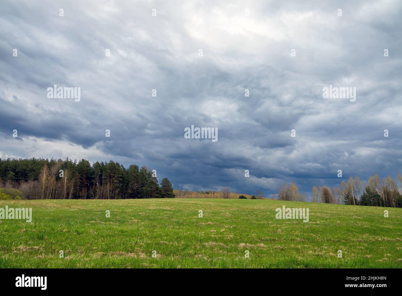 Leeres ländliches russisches Landschaftsfoto mit grüner Wiese unter stürmischem Himmel Stockfoto