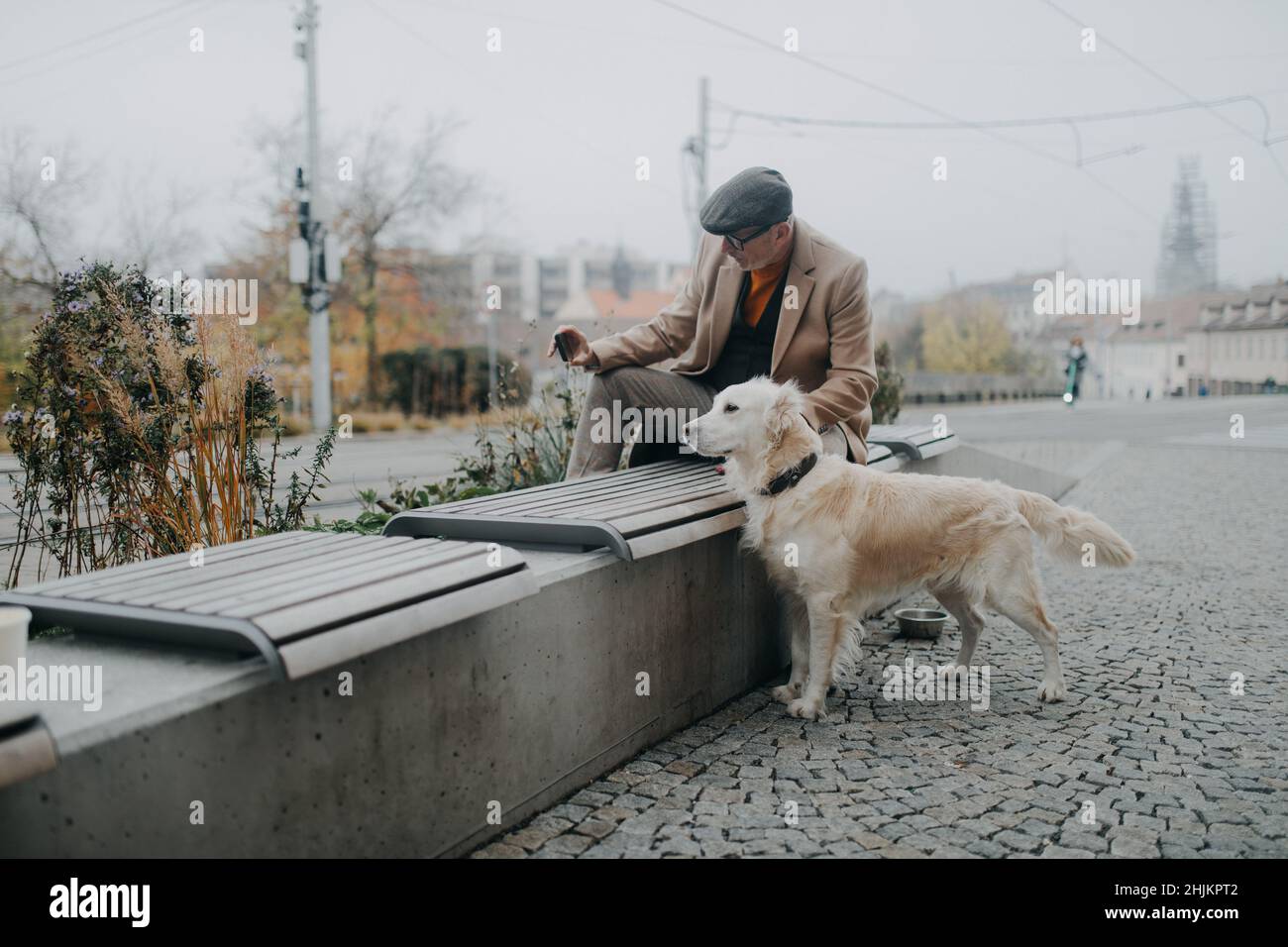 Glücklicher älterer Mann, der auf der Bank sitzt und Selfie mit seinem Hund im Freien in der Stadt macht. Stockfoto