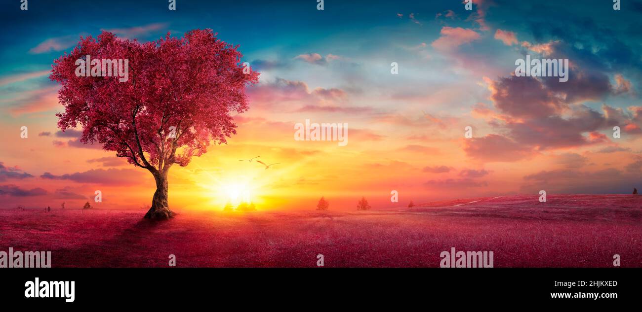 Herzbaum - Liebe Zur Natur - Rote Landschaft Bei Sonnenuntergang Stockfoto