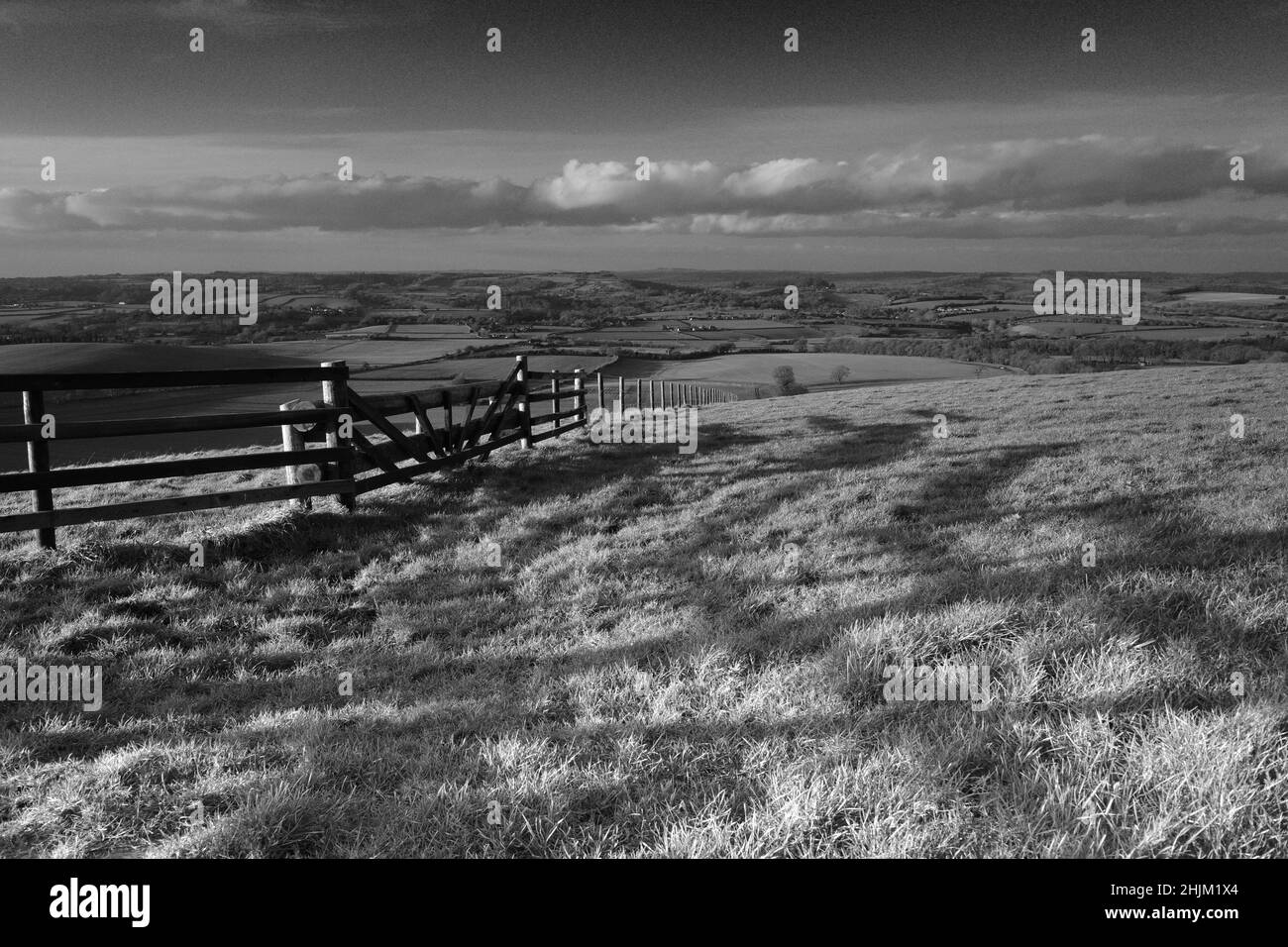 Blick über Cranborne Chase Stockfoto